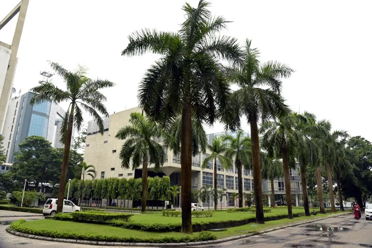 International Management & Analytics School, Kolkata