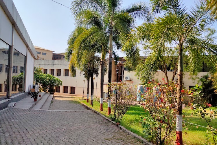 International School of Business & Media, Nande, Pune