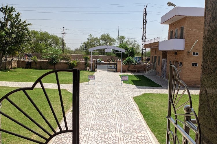 Jai Narain Vyas University, Jodhpur