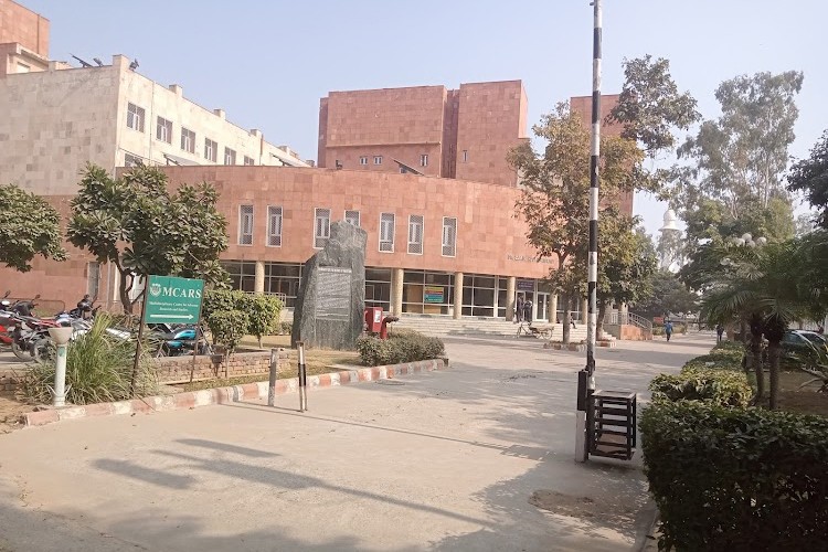 Jamia Millia Islamia University, New Delhi