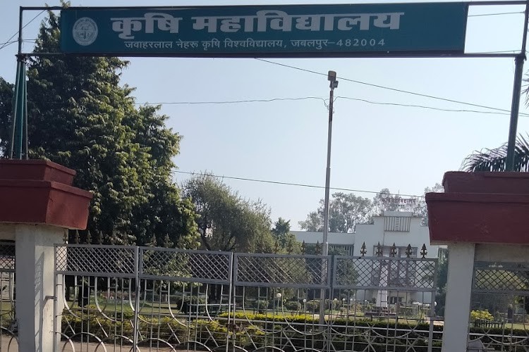 Jawaharlal Nehru Krishi Vishwa Vidyalaya, Jabalpur