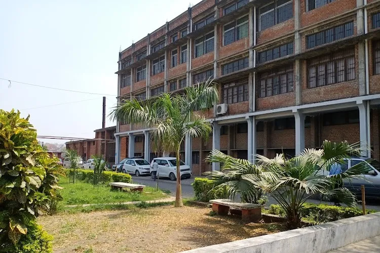 Joseph School of Business Studies and Commerce, Prayagraj