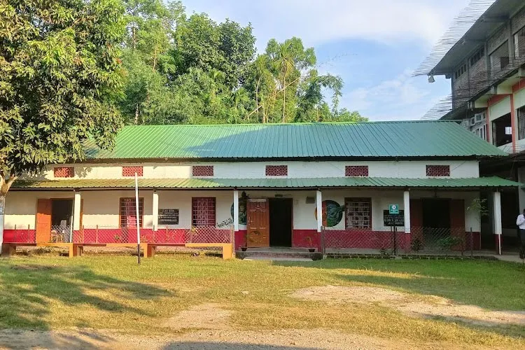 Joya Gogoi College, Golaghat
