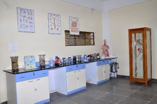 JSS Institute of Naturopathy and Yogic Sciences, The Nilgiris