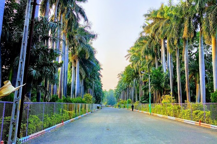 Junagadh Agricultural University, Junagadh