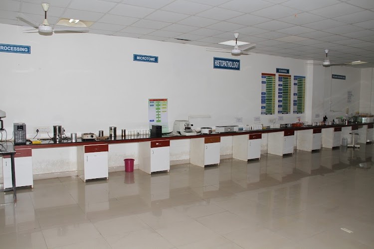 Kalinga Institute of Dental Sciences, Bhubaneswar