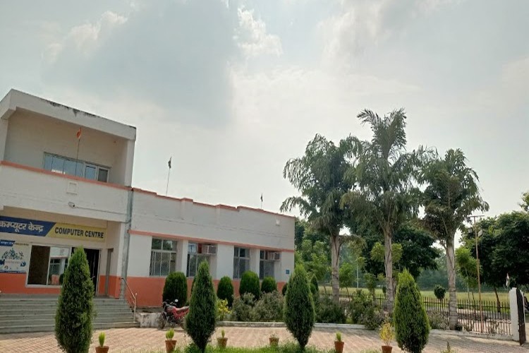 Kamla Nehru Group of Institutions, Sultanpur