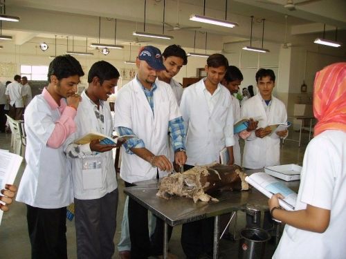 Khaja Bandanawaz Institute of Medical Sciences, Gulbarga