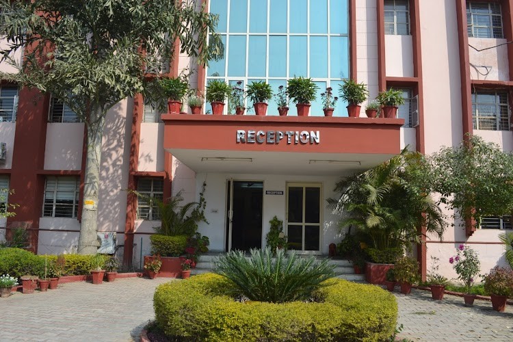 KIIT College of Engineering, Gurgaon