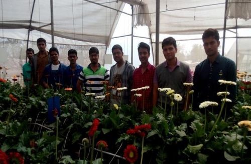 KK Wagh College of Agricultural BioTechnology, Nashik