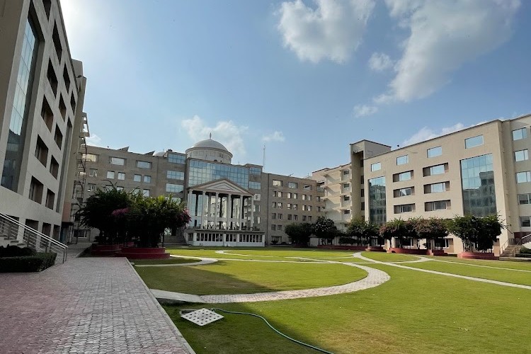 K.R. Mangalam University, Gurgaon