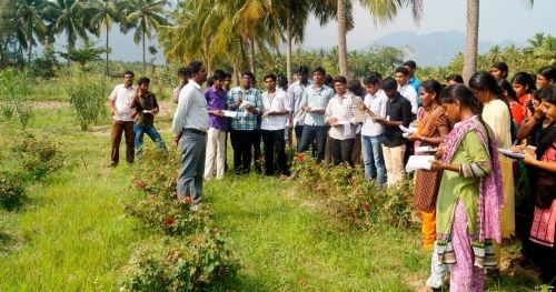 Kumaraguru Institute of Agriculture, Erode