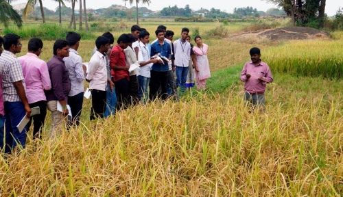 Kumaraguru Institute of Agriculture, Erode