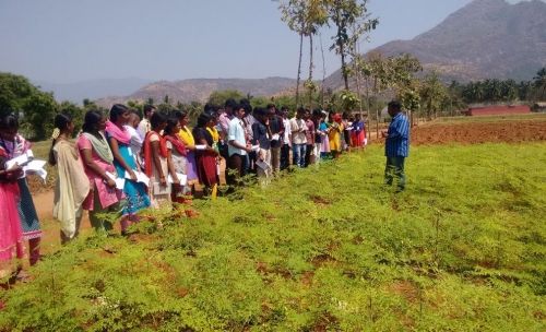 Kumaraguru Institute of Agriculture, Erode