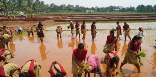 Kumaraguru Institute of Agriculture, Erode