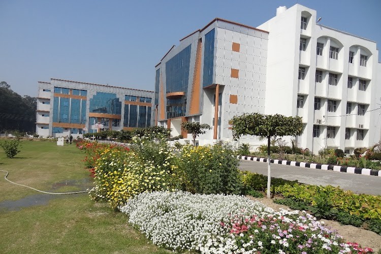 Kurukshetra Institute of Technology and Management, Kurukshetra