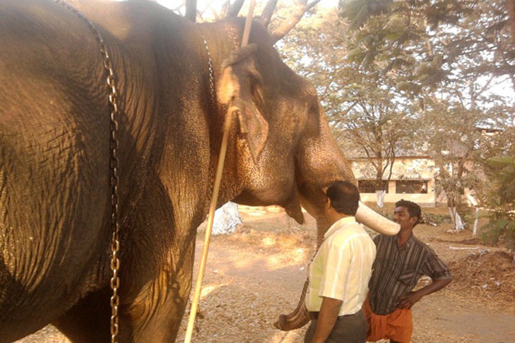 KVASU, College of Veterinary and Animal Sciences Mannuthy, Thrissur