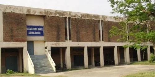 Lala Lajpat Rai University of Veterinary and Animal Sciences, Hisar