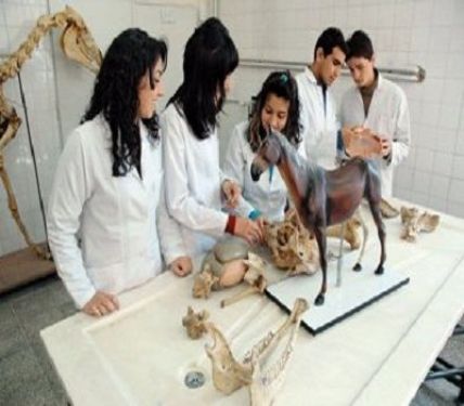 Lala Lajpat Rai University of Veterinary and Animal Sciences Campus Tour,  Hisar 