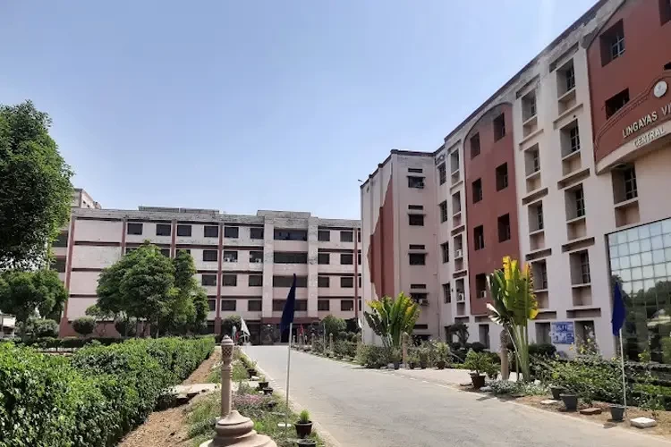 Lingaya's University, Faridabad