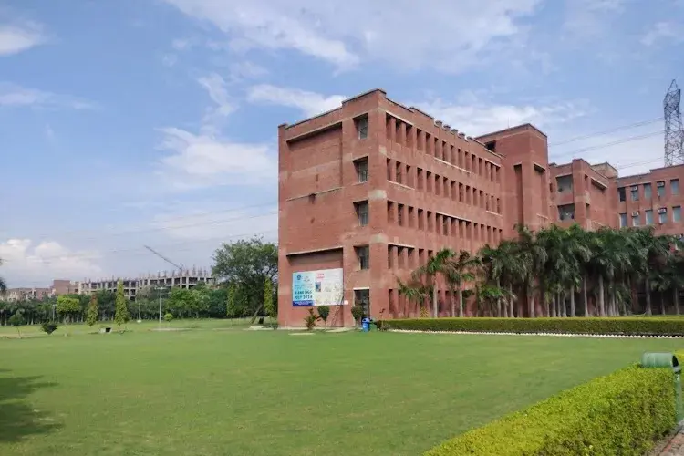 Lloyd Business School, Greater Noida