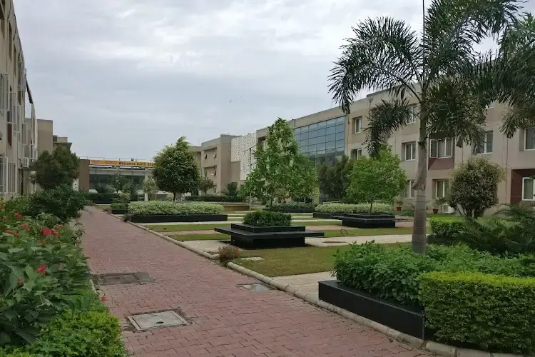 LM Thapar School of Management, Mohali