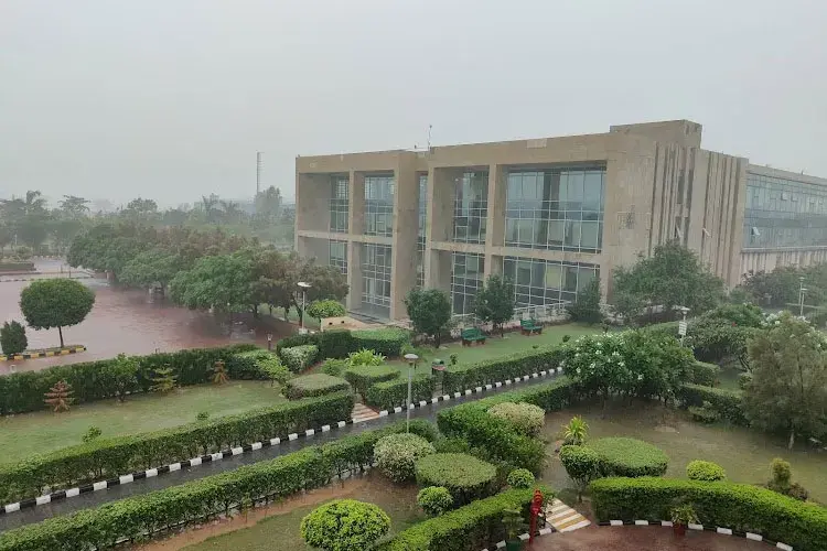 LM Thapar School of Management, Mohali