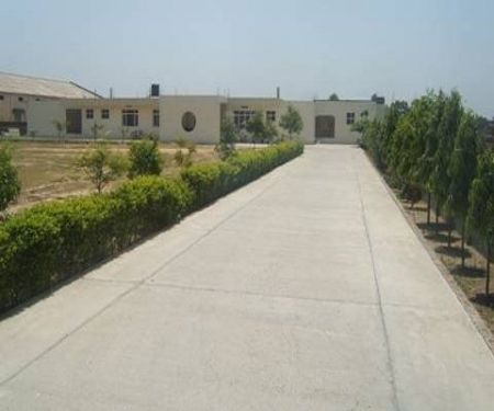 Lord Krishna College of Education, Kapurthala