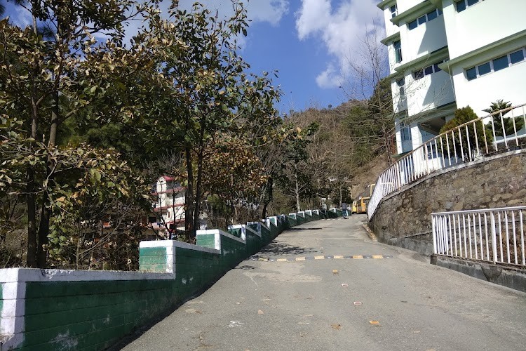 LR Group of Institutes, Solan