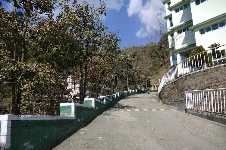 LR Group of Institutes, Solan