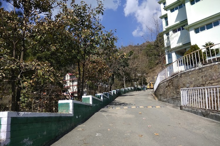 LR Institute of Engineering and Technology, Solan