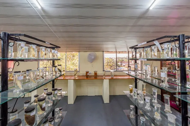 M.E.S Ponnani College, Ponani