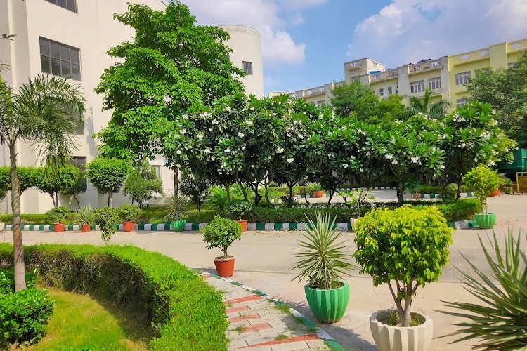 Maharaja Agrasen College, New Delhi