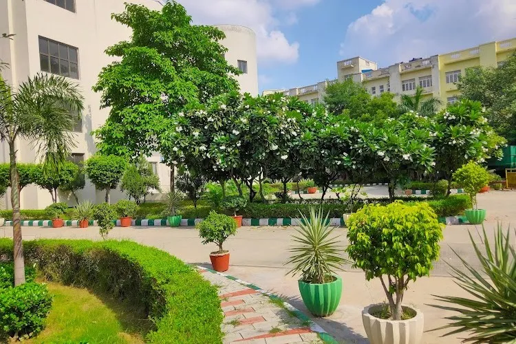 Maharaja Agrasen College, New Delhi
