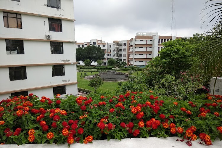 Maharaja Agrasen University, Solan