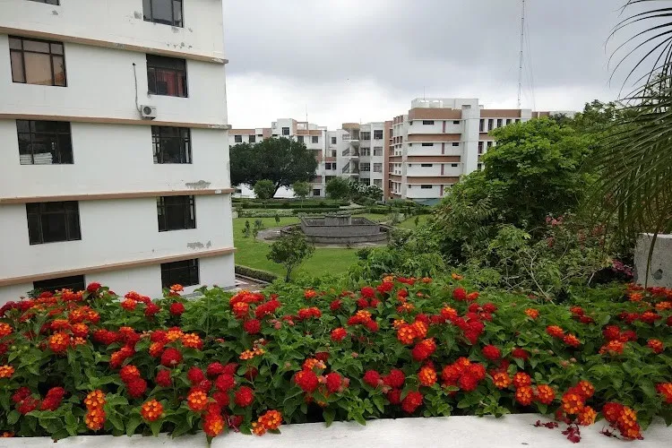 Maharaja Agrasen University, Solan