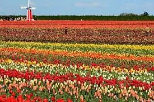 Maharana Pratap Horticultural University, Karnal