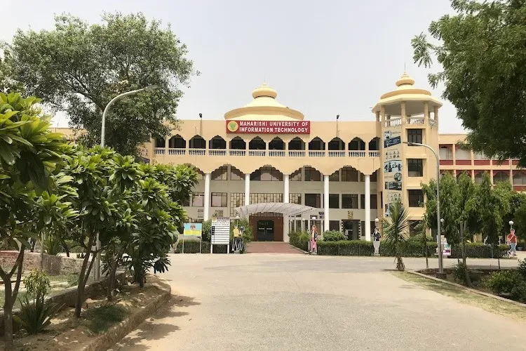 Maharishi University, Noida