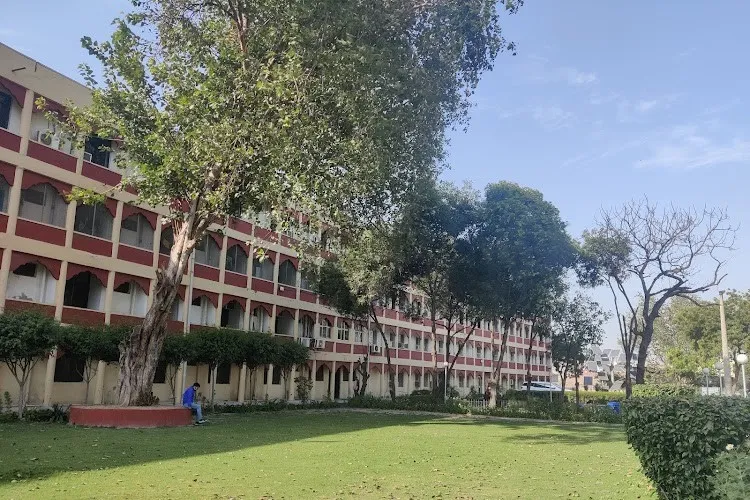Maharishi University, Noida