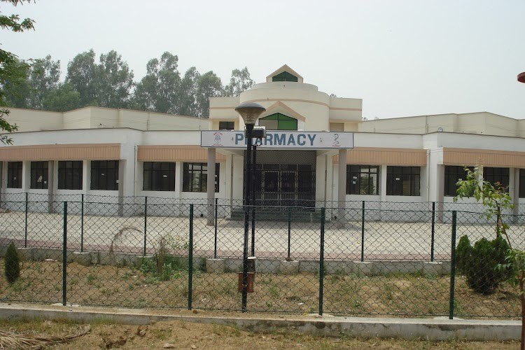 Mahatma Jyotiba Phule Rohilkhand University, Bareilly