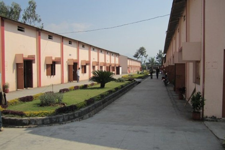 Majhighariani Institute of Technology and Science, Rayagada