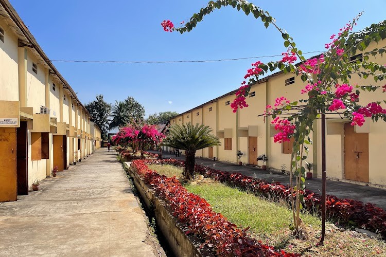 Majhighariani Institute of Technology and Science, Rayagada