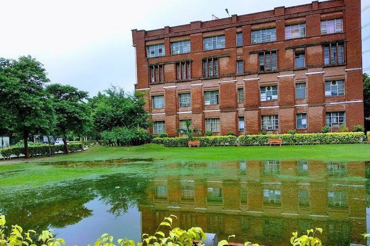 Mangalmay Group of Institutions, Greater Noida