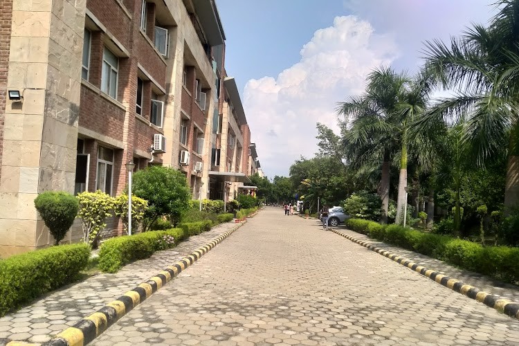 Mangalmay Institute of Engineering and Technology, Greater Noida