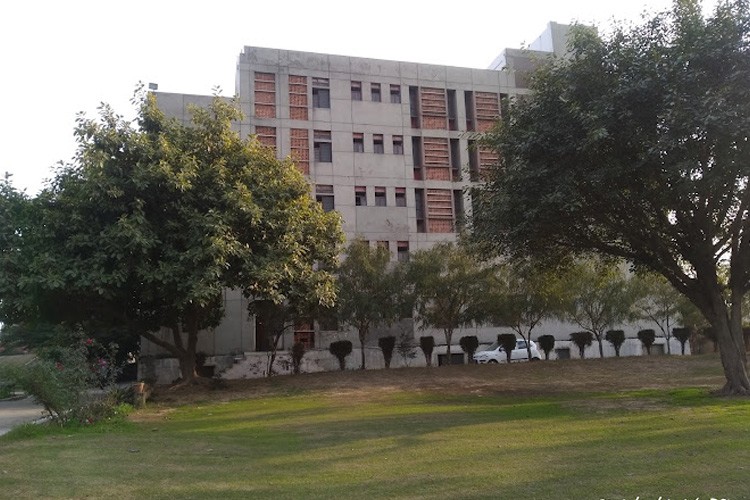 Master School of Management, Meerut