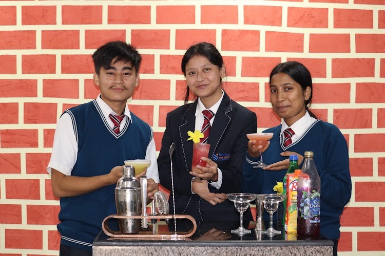 Medhavi Skills University, East Sikkim