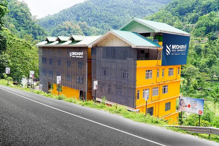 Medhavi Skills University, East Sikkim