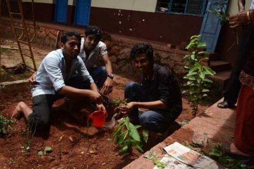 MES Arts and Science College, Nilambur