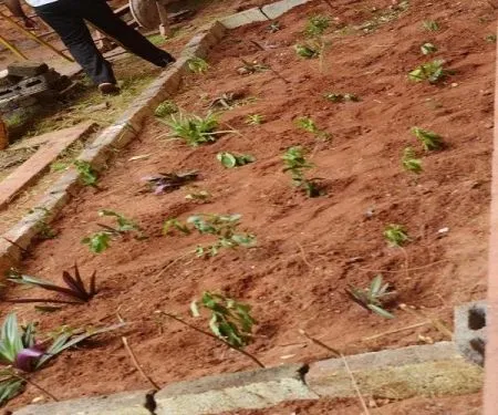 MES Arts and Science College, Nilambur