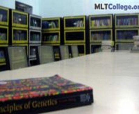 MLT College, Saharsa